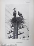 Vogelschutz und Vogelforschung