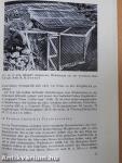 Vogelfang und Vogelberingung II.