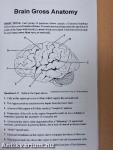 Neuroscience