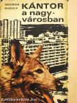 Kántor a nagyvárosban