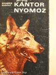 Kántor nyomoz