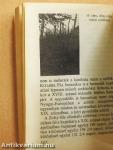 Nászéjszakák bora: a somlai