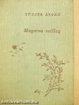 Mogorva csillag
