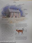 The Complete Beginner's Guide to Watercolour