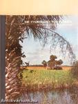 Die Everglades von Florida