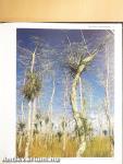 Die Everglades von Florida
