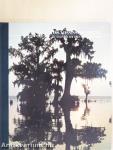 Das Mississippi-Delta