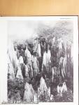 Borneo