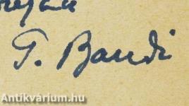 Lyra hispanica (dedikált példány)