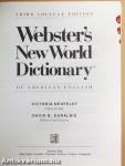 Webster's New World Dictionary