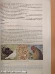 Földrajzkönyv 6.
