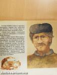 Autók könyve
