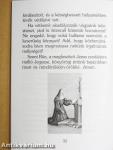 Szent Rita imafüzet