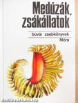 Medúzák, zsákállatok