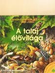 A talaj élővilága