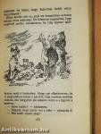 Ábel a rengetegben