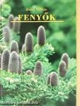 Fenyők