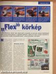 Ötlet Mozaik 1999. március
