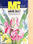 Mi virít itt?