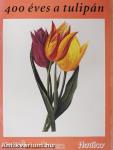 400 éves a tulipán