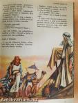 Képes Biblia