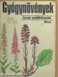 Gyógynövények