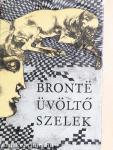 Üvöltő szelek