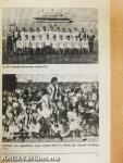 Labdarúgó almanach 1984