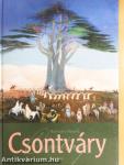 Csontváry