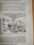 Ágas-bogas fa