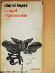 Virágot Algernonnak