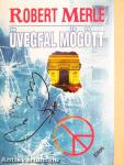 Üvegfal mögött