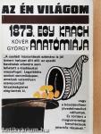 1873. Egy krach anatómiája