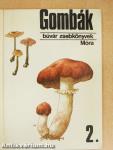 Gombák 2.