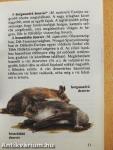 Emlősállatok