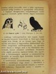 Ismerjük meg a madarakat