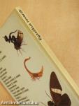 Egzotikus rovarok