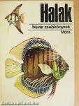 Halak