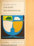 Virágot Algernonnak