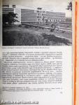 Lányok Évkönyve 1967
