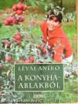 A konyhaablakból