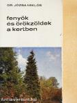 Fenyők és örökzöldek a kertben