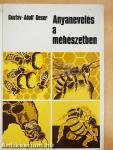Anyanevelés a méhészetben