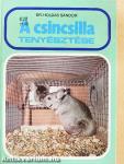 A csincsilla tenyésztése