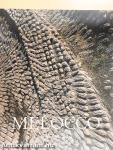 Melocco Miklós
