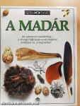 A madár