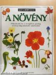 A növény