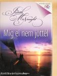 Míg el nem jöttél