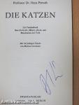 Die Katzen