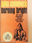 Burning bright